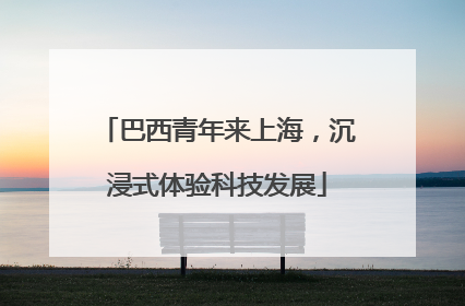 巴西青年来上海，沉浸式体验科技发展