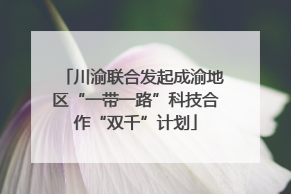 川渝联合发起成渝地区“一带一路”科技合作“双千”计划