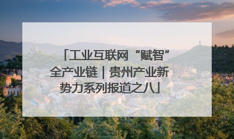 工业互联网“赋智”全产业链｜贵州产业新势力系列报道之八