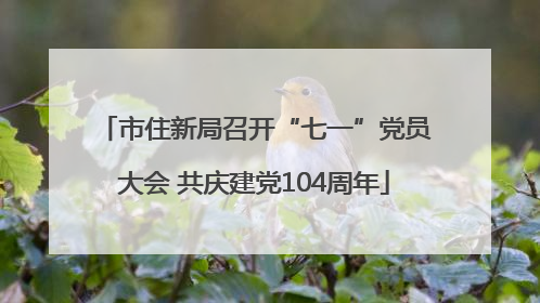 市住新局召开“七一”党员大会 共庆建党104周年