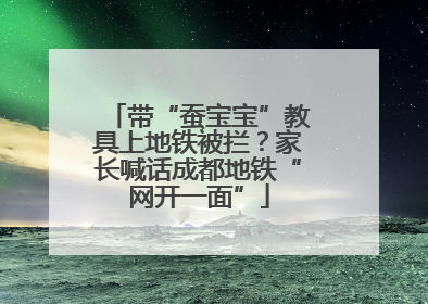 带“蚕宝宝”教具上地铁被拦？家长喊话成都地铁“网开一面”