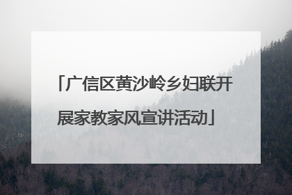广信区黄沙岭乡妇联开展家教家风宣讲活动