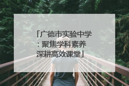 广德市实验中学：聚焦学科素养 深耕高效课堂