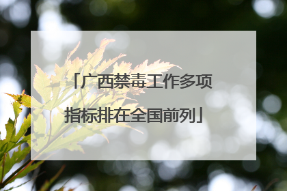 广西禁毒工作多项指标排在全国前列