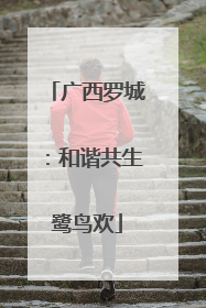 广西罗城：和谐共生鹭鸟欢
