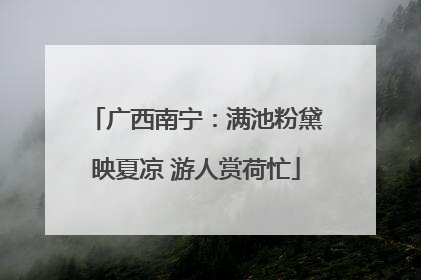 广西南宁：满池粉黛映夏凉 游人赏荷忙