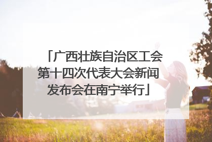 广西壮族自治区工会第十四次代表大会新闻发布会在南宁举行