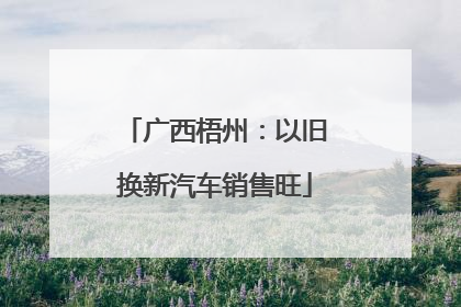 广西梧州：以旧换新汽车销售旺