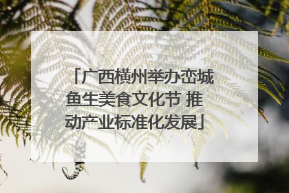 广西横州举办峦城鱼生美食文化节 推动产业标准化发展