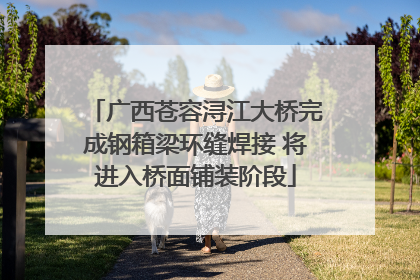 广西苍容浔江大桥完成钢箱梁环缝焊接 将进入桥面铺装阶段