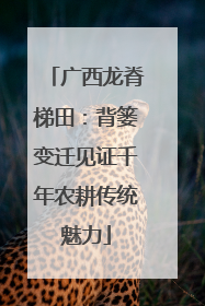 广西龙脊梯田：背篓变迁见证千年农耕传统魅力