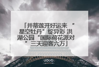 并蒂莲开好运来 “星空牡丹”绽异彩 洪湖公园“国际荷花派对”三天迎客六万