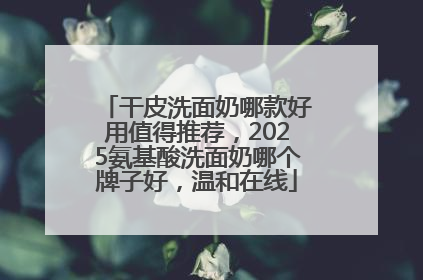 干皮洗面奶哪款好用值得推荐，2025氨基酸洗面奶哪个牌子好，温和在线