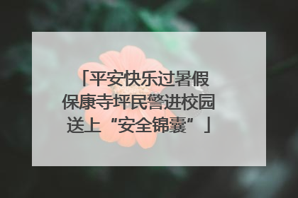 平安快乐过暑假 保康寺坪民警进校园送上“安全锦囊”