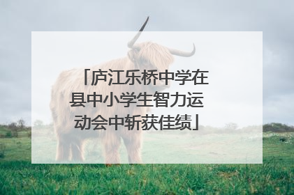 庐江乐桥中学在县中小学生智力运动会中斩获佳绩
