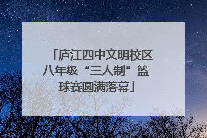 庐江四中文明校区八年级“三人制”篮球赛圆满落幕