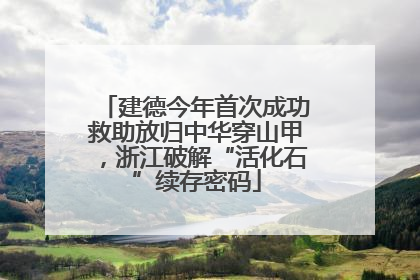 建德今年首次成功救助放归中华穿山甲，浙江破解“活化石”续存密码