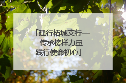 建行柘城支行——传承榜样力量 践行使命初心