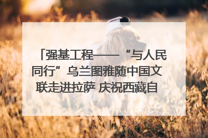 强基工程——“与人民同行”乌兰图雅随中国文联走进拉萨 庆祝西藏自治区成立60周年