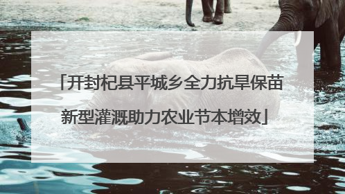 开封杞县平城乡全力抗旱保苗 新型灌溉助力农业节本增效