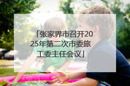 张家界市召开2025年第二次市委旅工委主任会议