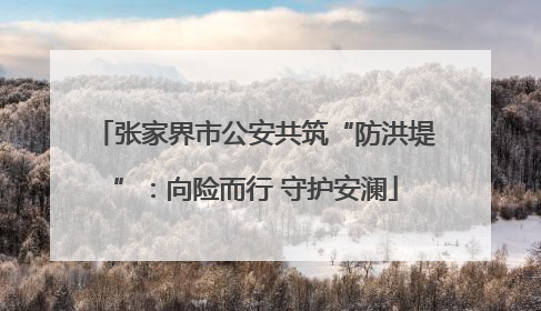 张家界市公安共筑“防洪堤”：向险而行 守护安澜