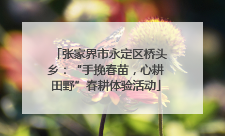 张家界市永定区桥头乡：“手挽春苗，心耕田野”春耕体验活动