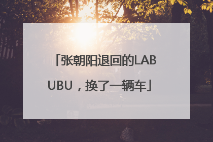 张朝阳退回的LABUBU，换了一辆车