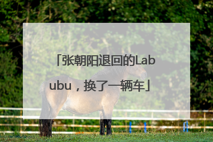 张朝阳退回的Labubu，换了一辆车