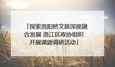 探索洛阳桥文旅深度融合发展 洛江区政协组织开展课题调研活动