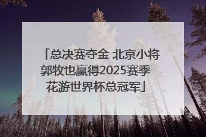 总决赛夺金 北京小将郭牧也赢得2025赛季花游世界杯总冠军