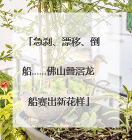 急刹、漂移、倒船……佛山叠滘龙船赛出新花样