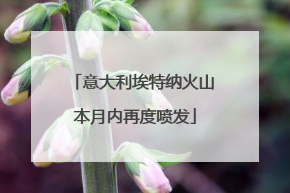 意大利埃特纳火山本月内再度喷发