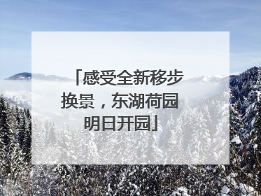感受全新移步换景，东湖荷园明日开园