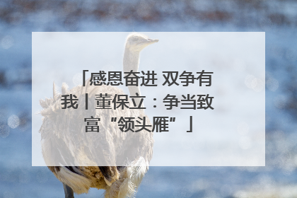 感恩奋进 双争有我丨董保立：争当致富“领头雁”