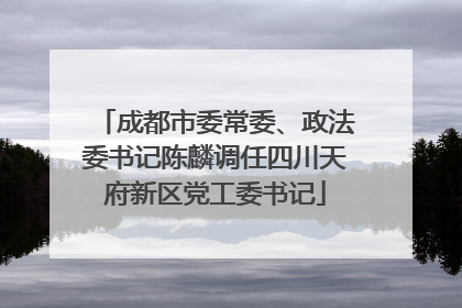 成都市委常委、政法委书记陈麟调任四川天府新区党工委书记
