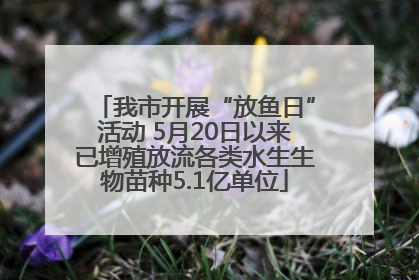 我市开展“放鱼日”活动 5月20日以来已增殖放流各类水生生物苗种5.1亿单位