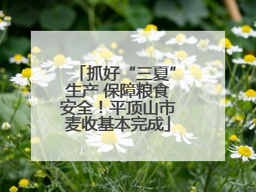 抓好“三夏”生产 保障粮食安全！平顶山市麦收基本完成