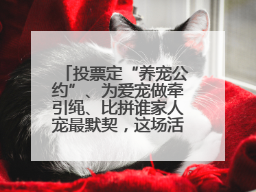 投票定“养宠公约”、为爱宠做牵引绳、比拼谁家人宠最默契，这场活动有趣更有意义