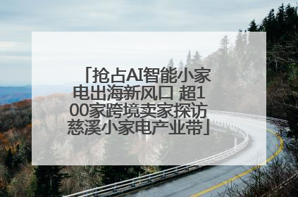 抢占AI智能小家电出海新风口 超100家跨境卖家探访慈溪小家电产业带
