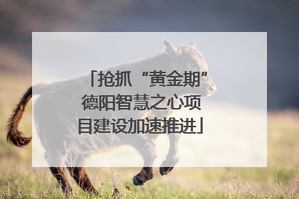 抢抓“黄金期” 德阳智慧之心项目建设加速推进