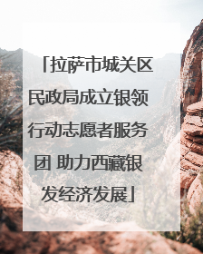 拉萨市城关区民政局成立银领行动志愿者服务团 助力西藏银发经济发展