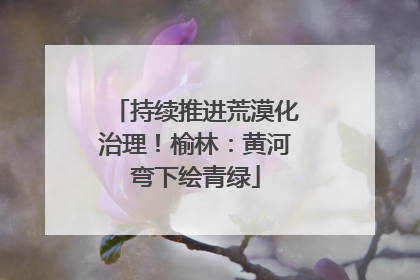 持续推进荒漠化治理！榆林：黄河弯下绘青绿