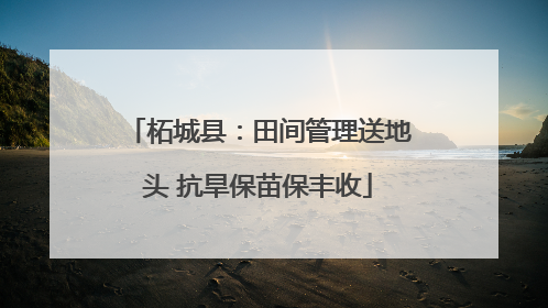 柘城县：田间管理送地头 抗旱保苗保丰收