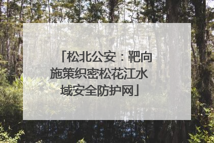 松北公安：靶向施策织密松花江水域安全防护网