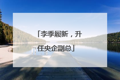李季履新，升任央企副总