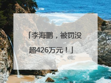 李海鹏，被罚没超426万元！