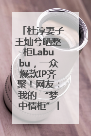 杜淳妻子王灿兮晒整柜Labubu，一众爆款IP齐聚！网友：我的 “梦中情柜”