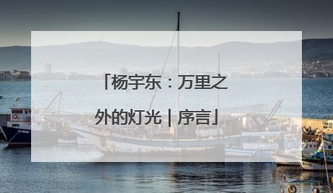 杨宇东：万里之外的灯光｜序言