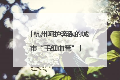 杭州呵护奔跑的城市“毛细血管”